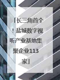 长三角首个！盐城数字视听产业基地集聚企业113家