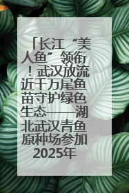 长江“美人鱼”领衔！武汉放流近千万尾鱼苗守护绿色生态——湖北武汉青鱼原种场参加2025年“全国放鱼日”增殖放流活动