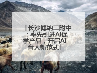 长沙博纳二附中：率先引进AI促学产品，开启AI育人新范式