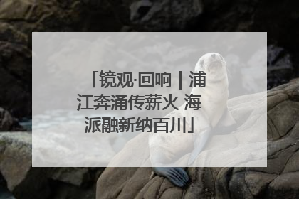 镜观·回响｜浦江奔涌传薪火 海派融新纳百川