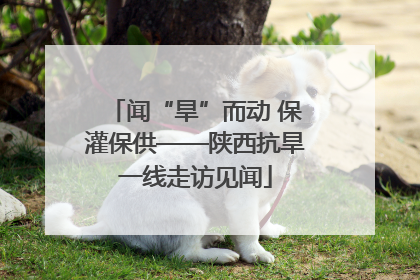 闻“旱”而动 保灌保供——陕西抗旱一线走访见闻