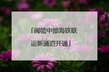 闽赣中部海铁联运新通道开通