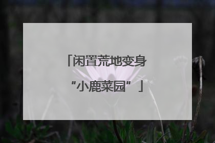 闲置荒地变身“小鹿菜园”