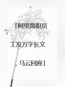 阿里离职员工发万字长文，马云回应