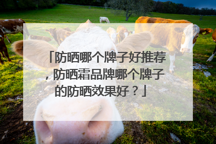 防晒哪个牌子好推荐，防晒霜品牌哪个牌子的防晒效果好？