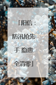 阳信：防汛抢先手 隐患全清零