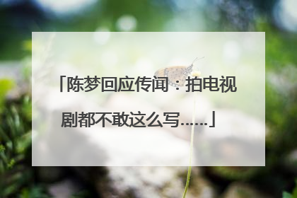 陈梦回应传闻：拍电视剧都不敢这么写……