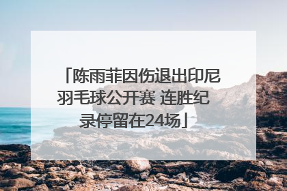 陈雨菲因伤退出印尼羽毛球公开赛 连胜纪录停留在24场