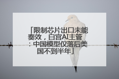 限制芯片出口未能奏效，白宫AI主管：中国模型仅落后美国不到半年