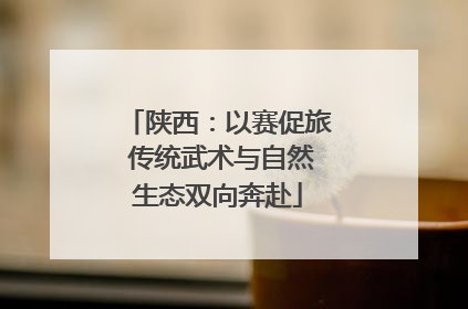 陕西：以赛促旅 传统武术与自然生态双向奔赴