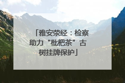 雅安荥经：检察助力“枇杷茶”古树挂牌保护