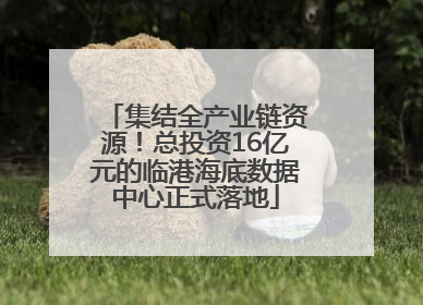 集结全产业链资源！总投资16亿元的临港海底数据中心正式落地
