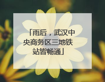 雨后，武汉中央商务区三地铁站皆畅通