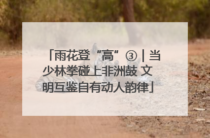 雨花登“高”③｜当少林拳碰上非洲鼓 文明互鉴自有动人韵律