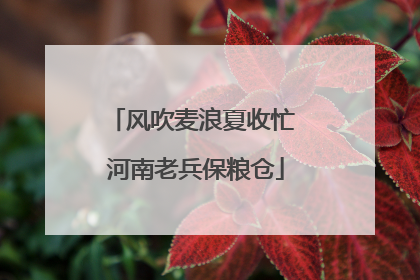风吹麦浪夏收忙 河南老兵保粮仓