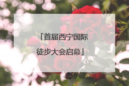 首届西宁国际徒步大会启幕