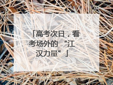 高考次日，看考场外的 “江汉力量”