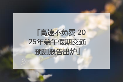 高速不免费 2025年端午假期交通预测报告出炉