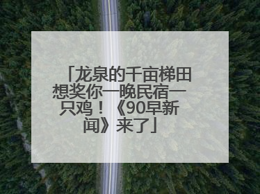 龙泉的千亩梯田想奖你一晚民宿一只鸡！《90早新闻》来了
