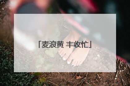 麦浪黄 丰收忙