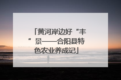 黄河岸边好“丰”景——合阳县特色农业养成记