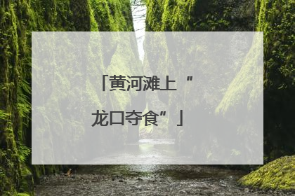 黄河滩上“龙口夺食”