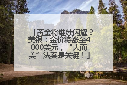 黄金将继续闪耀？美银：金价将涨至4000美元，“大而美”法案是关键！
