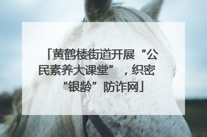 黄鹤楼街道开展“公民素养大课堂”，织密“银龄”防诈网