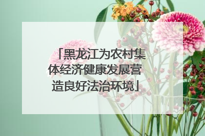 黑龙江为农村集体经济健康发展营造良好法治环境