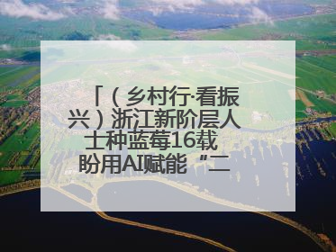 （乡村行·看振兴）浙江新阶层人士种蓝莓16载 盼用AI赋能“二次创业”