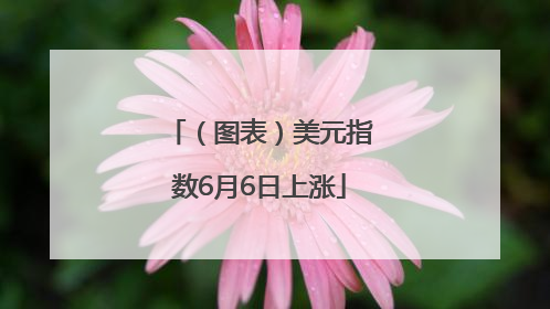 （图表）美元指数6月6日上涨