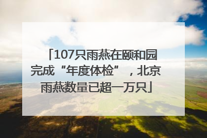 107只雨燕在颐和园完成“年度体检”，北京雨燕数量已超一万只