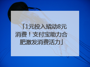 1元投入撬动8元消费！支付宝助力合肥激发消费活力
