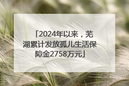 2024年以来，芜湖累计发放孤儿生活保障金2758万元