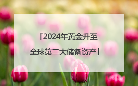 2024年黄金升至全球第二大储备资产