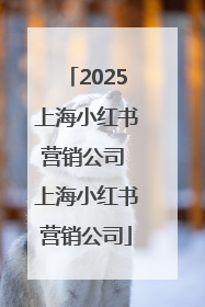 2025上海小红书营销公司 上海小红书营销公司
