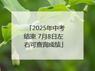 2025年中考结束 7月8日左右可查询成绩