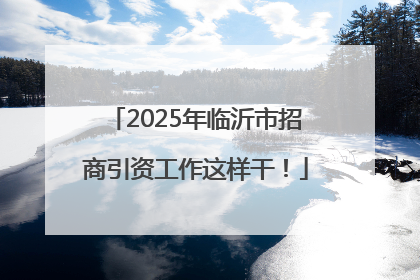 2025年临沂市招商引资工作这样干！