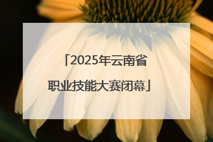 2025年云南省职业技能大赛闭幕