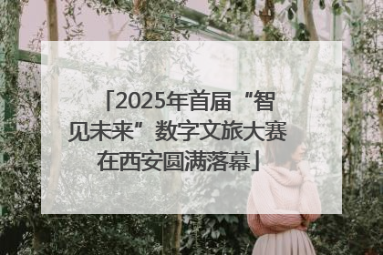 2025年首届“智见未来”数字文旅大赛在西安圆满落幕