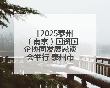 2025泰州（南京）国资国企协同发展恳谈会举行 泰州市委书记用三个关键词推介泰州