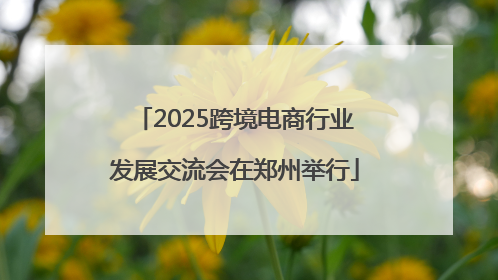 2025跨境电商行业发展交流会在郑州举行