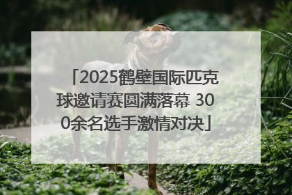 2025鹤壁国际匹克球邀请赛圆满落幕 300余名选手激情对决