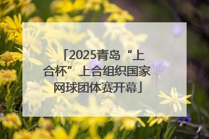2025青岛“上合杯”上合组织国家网球团体赛开幕