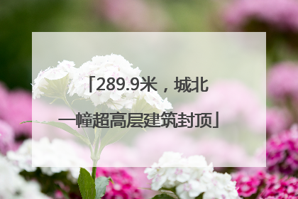 289.9米，城北一幢超高层建筑封顶