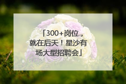 300+岗位，就在后天！星沙有场大型招聘会