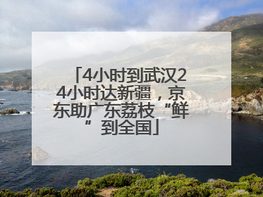 4小时到武汉24小时达新疆，京东助广东荔枝“鲜”到全国
