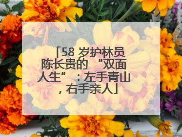 58 岁护林员陈长贵的 “双面人生”：左手青山，右手亲人
