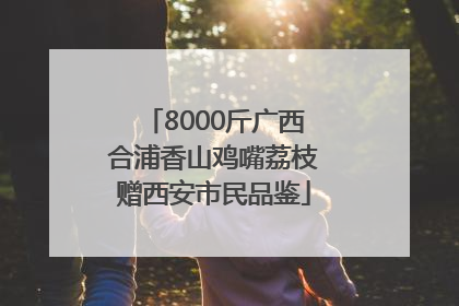 8000斤广西合浦香山鸡嘴荔枝赠西安市民品鉴