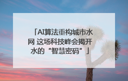 AI算法重构城市水网 这场科技峰会揭开水的“智慧密码”